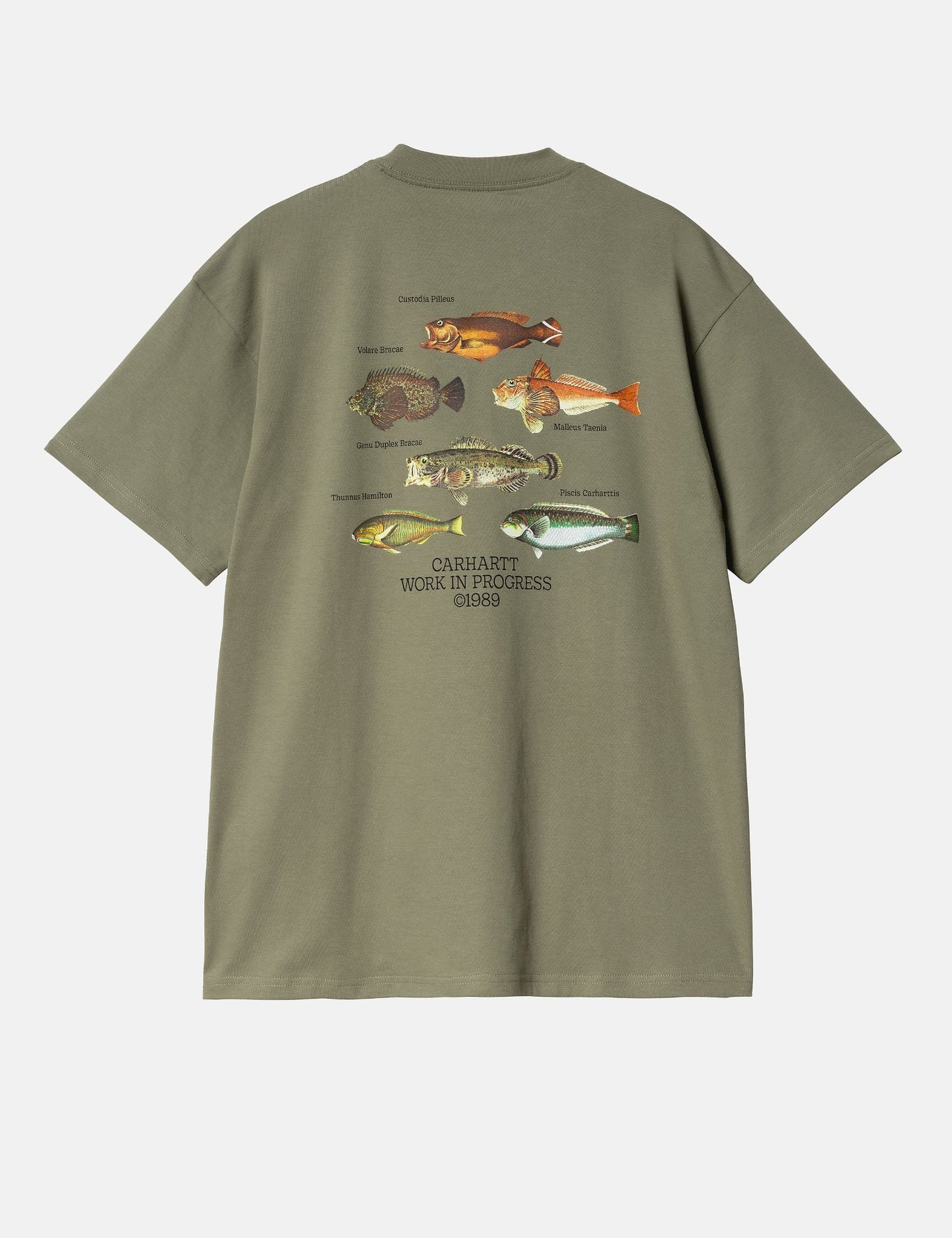 Fish T-Shirt (Loose) - Dollar Green